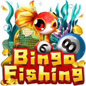 Câu Cá Bingo suwin login